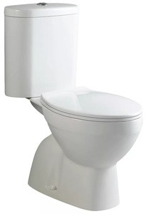 Sanotechnik SANO-BASIC monoblokkos WC, ülőke nélkül (CT1222)
