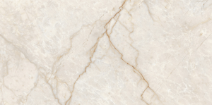Granito Champagne Glossy 3631 30x60