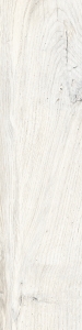 DARING IVORY 15x61