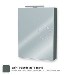 Tboss Mirror Box Tressa 60 tükrös felsőszekrény, 2 ajtós, 30 cm-es LED-lámpával, Füstös zöld matt