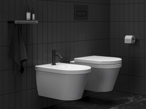 Espirit álló bidécsaptelep, Fekete