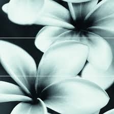 FLOWER GREY COMPOSITION 75X75