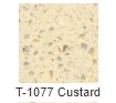 T-1077 Custard