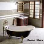 bronz42.png