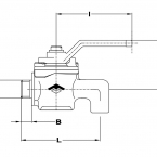 ma8.jpg